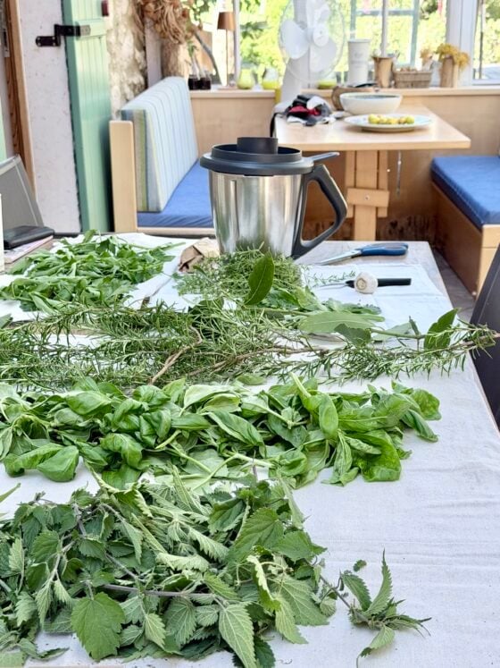 Fresh herbs spread across a table before an Italian herb salt class at a home overlooking Lake Garda.