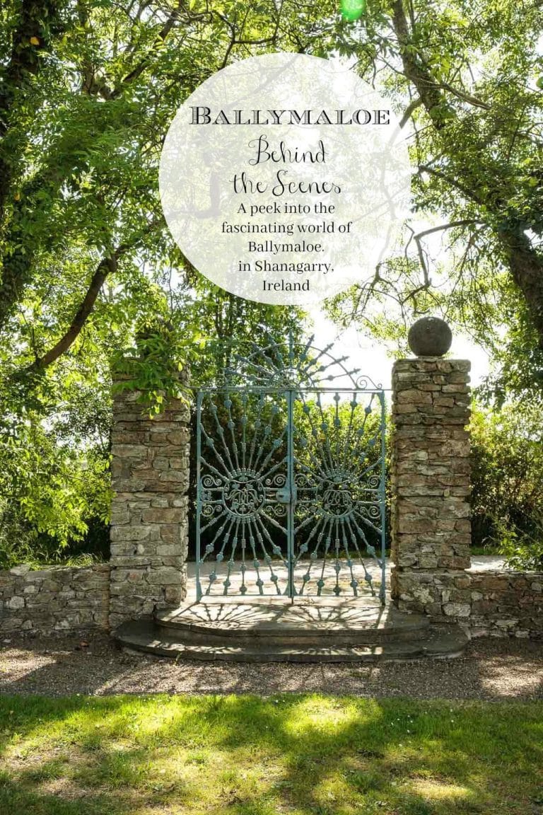 Ballymaloe - Behind the Scenes