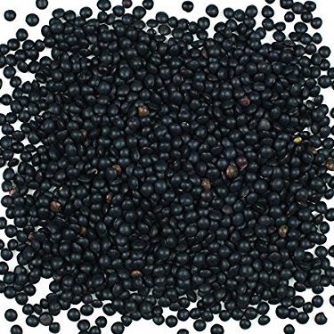 Stock photo of Italian Black Lentils.