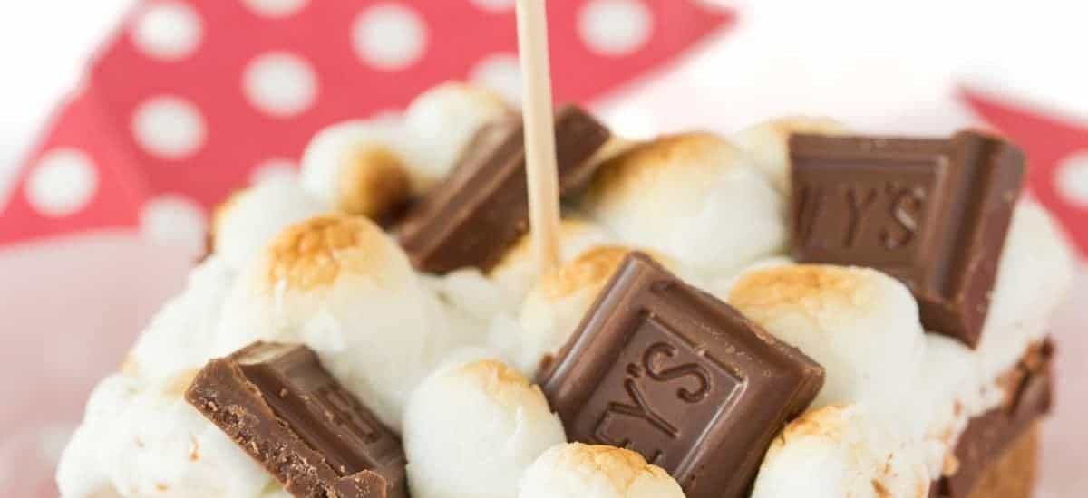Vertical picture of Blondie S'Mores Bars cut topped with an American flag