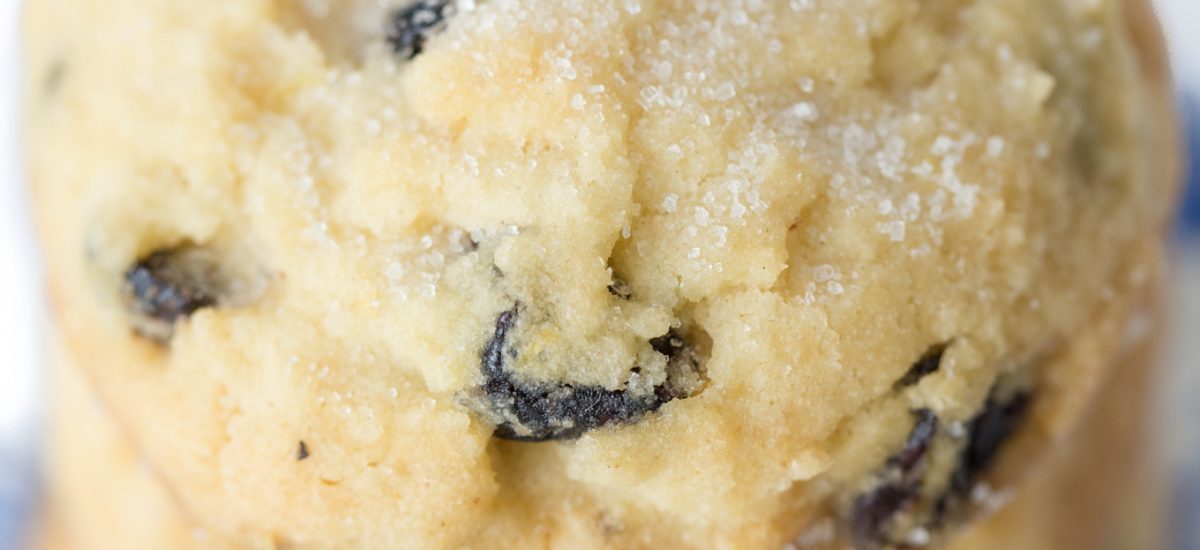 Lemon Blueberry Shortbread Cookies -These delicious, unforgettable cookies are loaded with fabulous flavor, with no rolling, cutting out or patting. How cool is that? thecafesucrefarine.com
