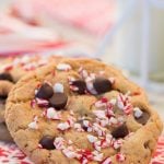 Vertical close up picture of chocolate chip candy cane cookies on a red and white napkin