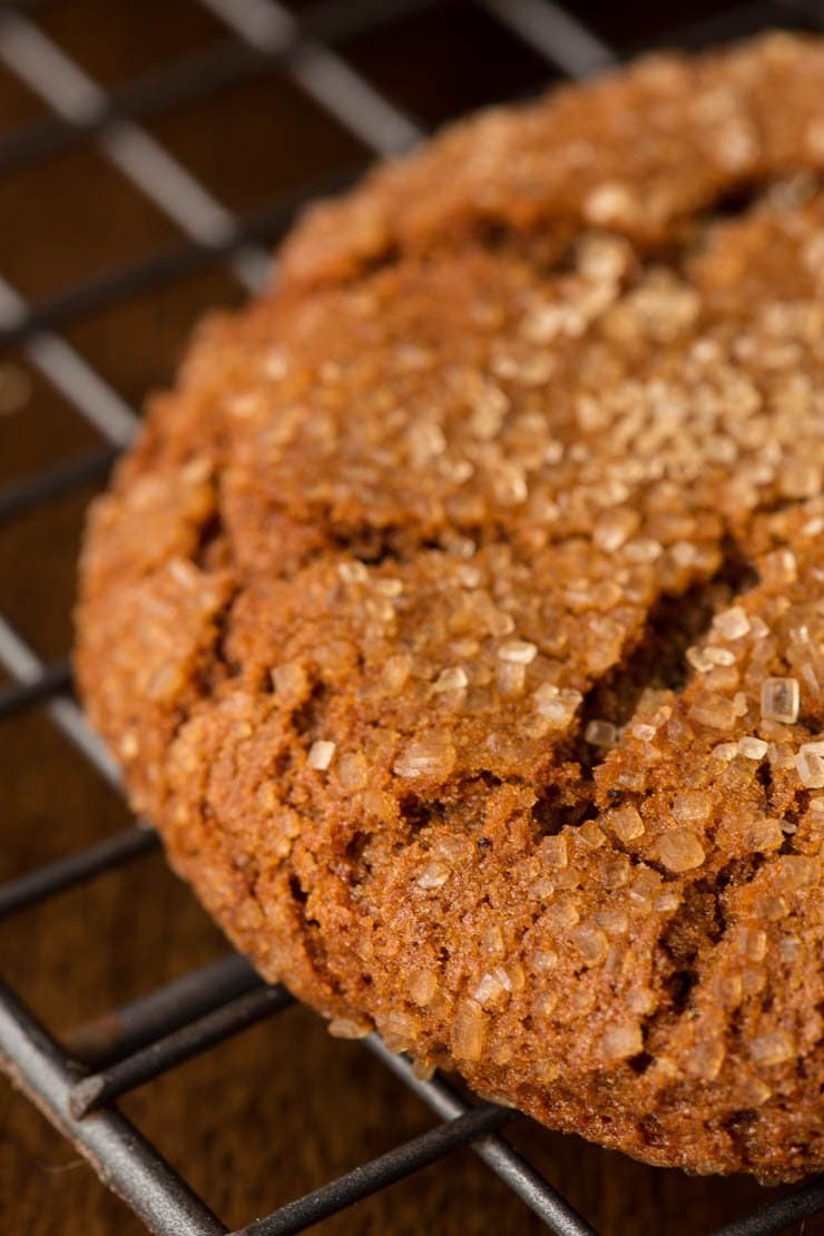 Easy Bakery Style Molasses Cookies