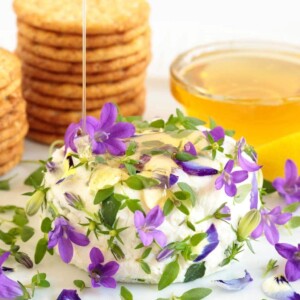Vertical picture of goat cheese, edible flowers and crackers