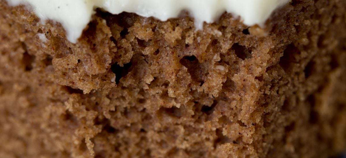 Closeup photo of a piece of Easy Gingerbread Cake with Vanilla Bean Icing.