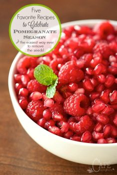 Five Favorite Recipes to Celebrate Pomegranate Season AND the super easy way to de-seed a pomegranate