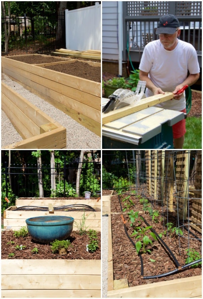 Building Elevated Raised Garden Beds featured in the Grilled Chicken Nicoise Salad post.