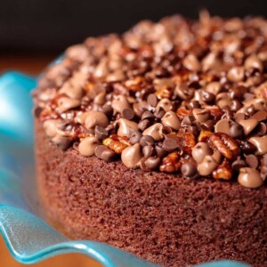 Close up vertical picture of Grammy's Easy Chocolate Yogurt Cake