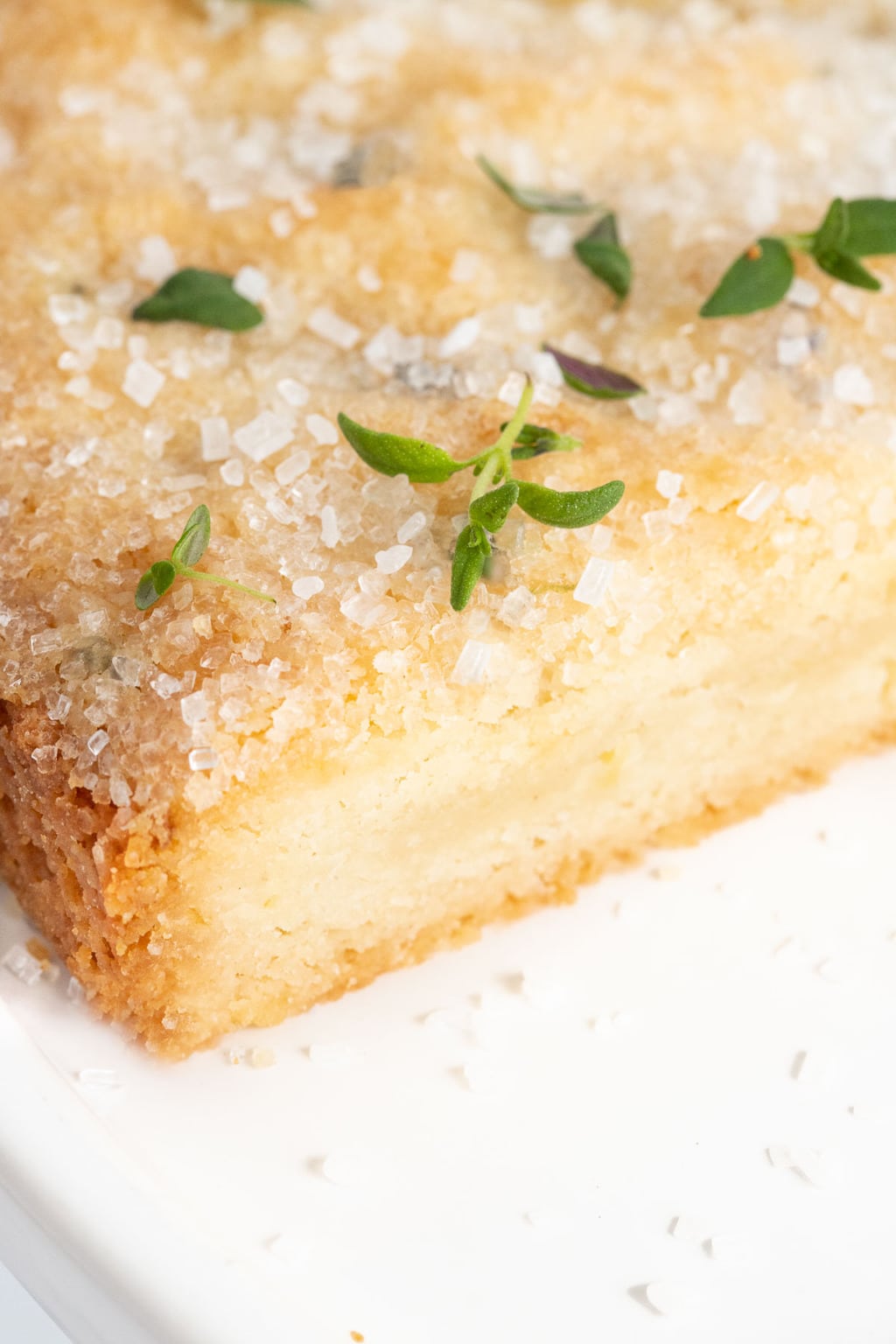 Vertical extreme closeup of the inside and top of Lemon Thyme Shortbread garnished with fresh thyme leaves.