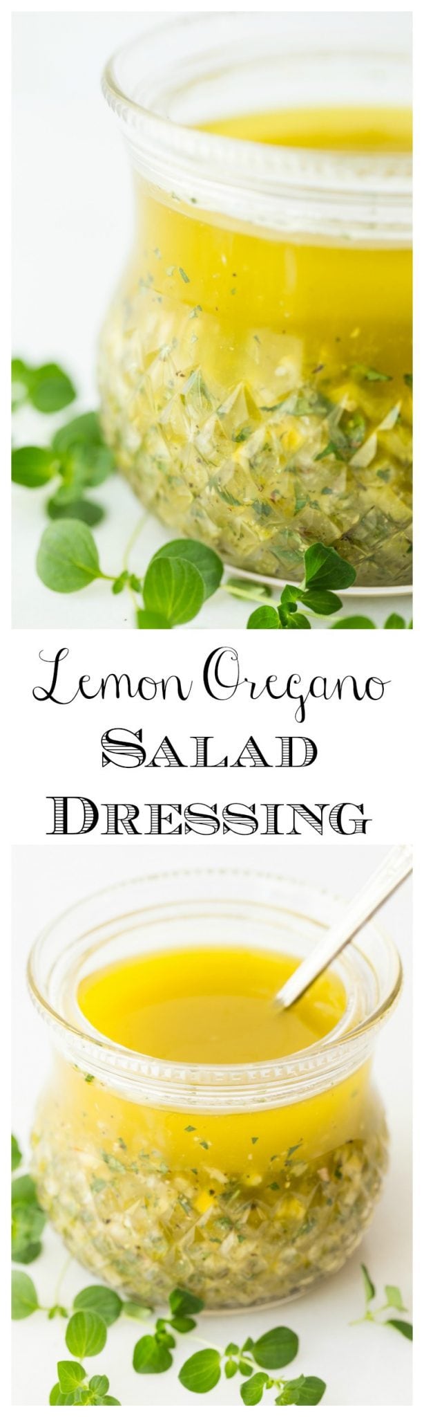 Lemon Oregano Salad Dressing - Lemon Oregano Salad Dressing - with bright, fresh lemon flavor, this dressing is delicious on just about any salad but it's also wonderful on grilled chicken, shrimp and pork, roasted veggies, steamed potatoes...