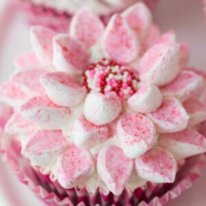 Looking for a super easy and fun holiday project? This simple technique for making beautiful poinsettia cupcakes will wow everyone! There's also a recipe for the best (and easiest ) chocolate cupcake recipe you'll ever have the pleasure of meeting!