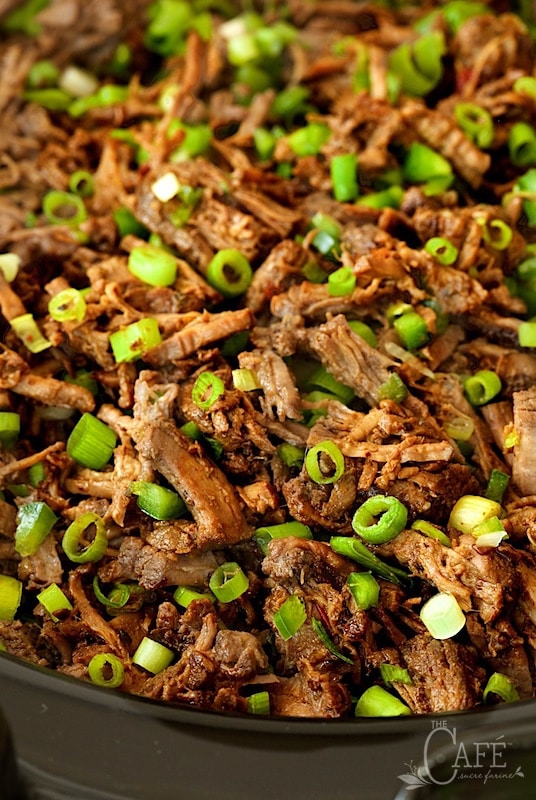 Slow Cooker Mexican Shredded Beef -is perfect for all sorts of south-of-the-border entrees - tacos, enchiladas, burritos, tamales, Mexican salads, etc. And the slow cooker does most of the work! thecafesucrefarine.com