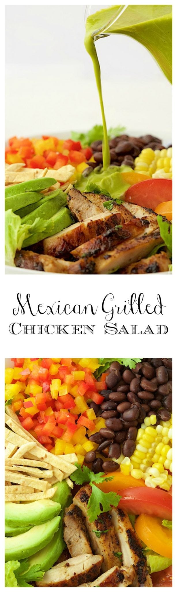 Mexican Grilled Chicken Salad - this fresh salad bursting with south-of -the-border flavor is a great way to keep meals healthy and delicious!