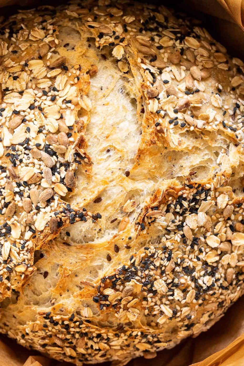 Ultra closeup photo of the top of a loaf of freshly baked No-Knead Seeded Oatmeal Bread.