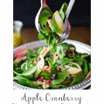 Closeup vertical photo of a Apple Cranberry Spinach Salad with a person lifting up part of the salad with serving utensils.
