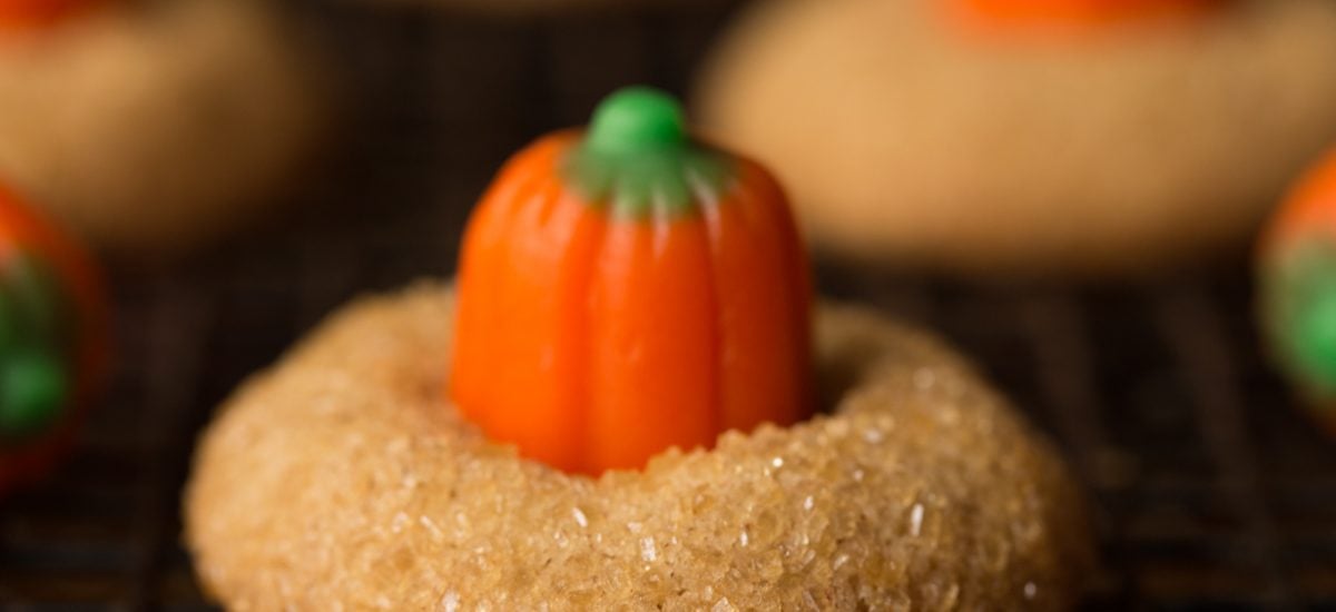 Need a delicious, sweet snack for an autumn party or a Halloween celebration? These Pumpkin Shortbread Cookies are the perfect, delicious solution! thecafesucrefarine.com