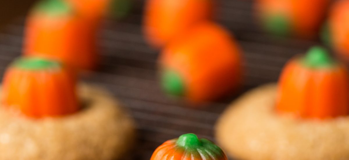 Vertical picture of Pumpkin Shortbread Cookies on a cooling rack on a black background