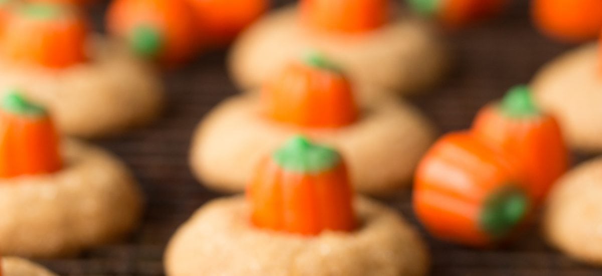 Need a delicious, sweet snack for an autumn party or a Halloween celebration? These Pumpkin Shortbread Cookies are the perfect, delicious solution! thecafesucrefarine.com