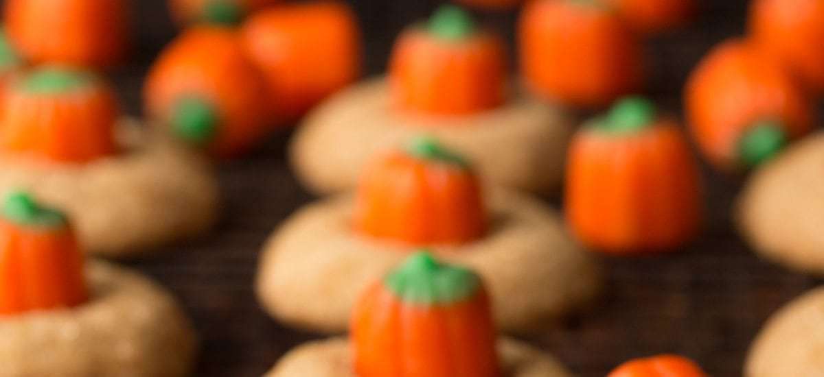 A photo of a batch of Pumpkin Shortbread Cookies on a black cooling rack.