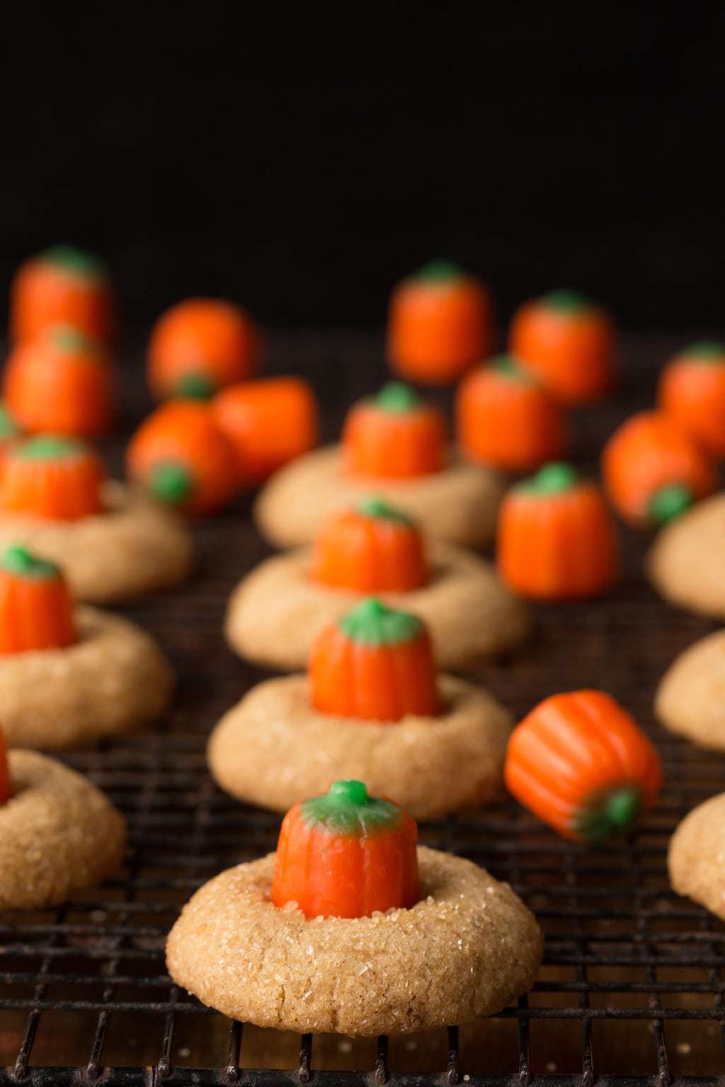Photo of a cooling rack filled with Pumpkin Shortbread Cookies.