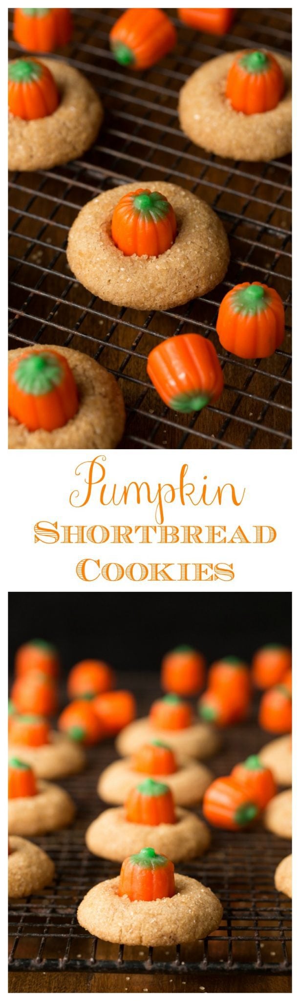 Pumpkin Shortbread Cookies - Pumpkin Shortbread Cookies - delightful fall treats that are melt in your mouth delicious - a win win, for sure!