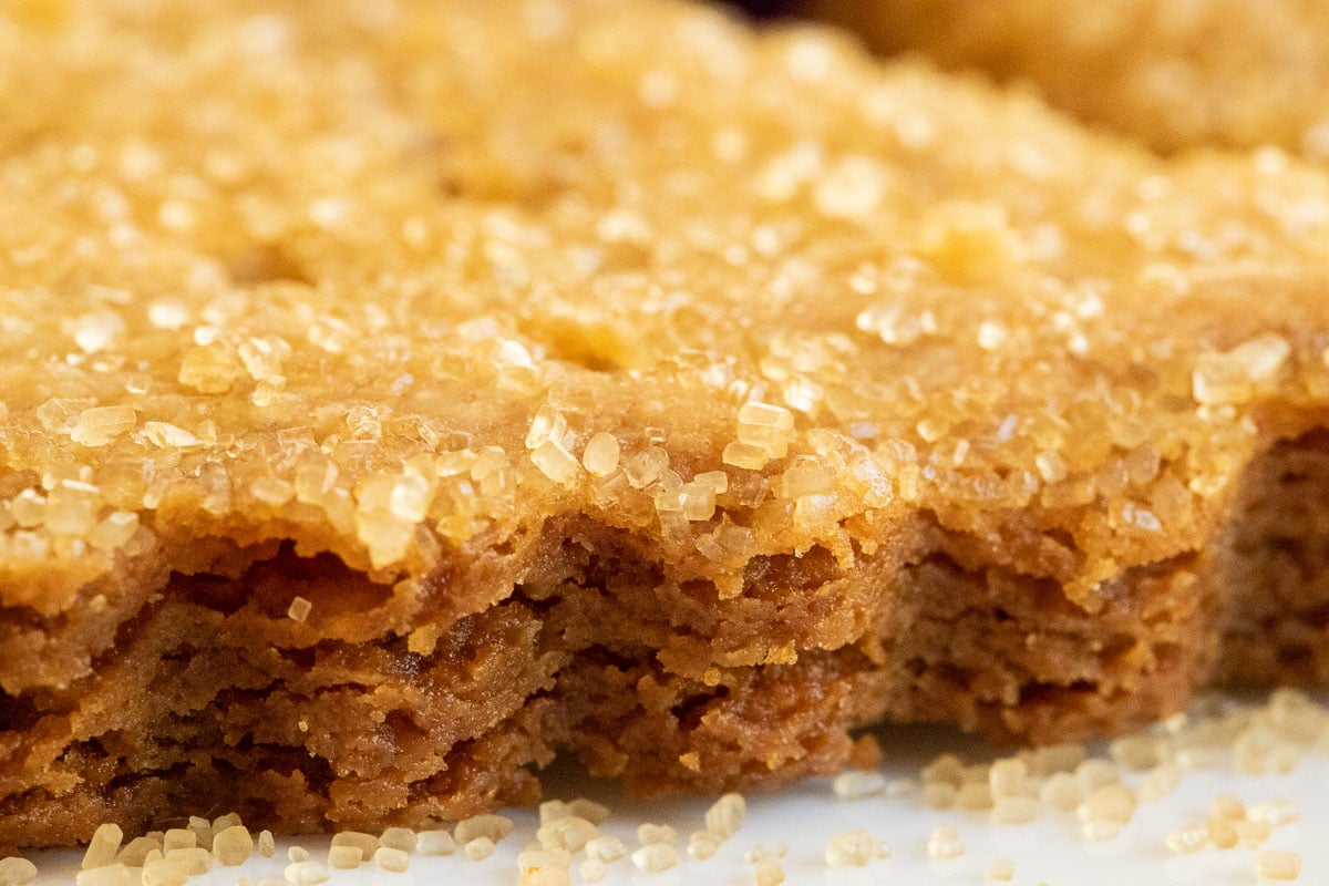 Ultra closeup horizontal photo of the edge of a piece of Ridiculously Easy Brown Sugar Shortbread.