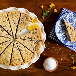 Horizontal overhead photo of a batch of Ridiculously Easy Chocolate Chip Shortbread wedges.