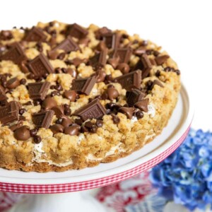 Vertical picture of S'mores Shortbread Tart on a white cake stand