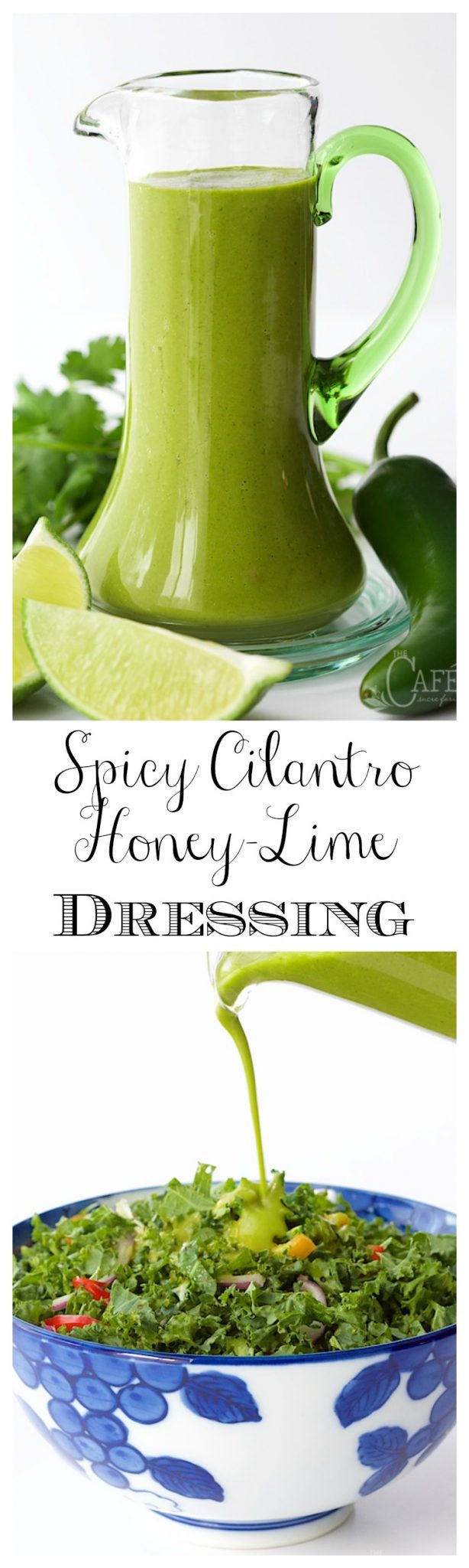 Spicy Cilantro Honey-Lime Dressing - addictively delicious, this dressing will rock your little salad loving world!