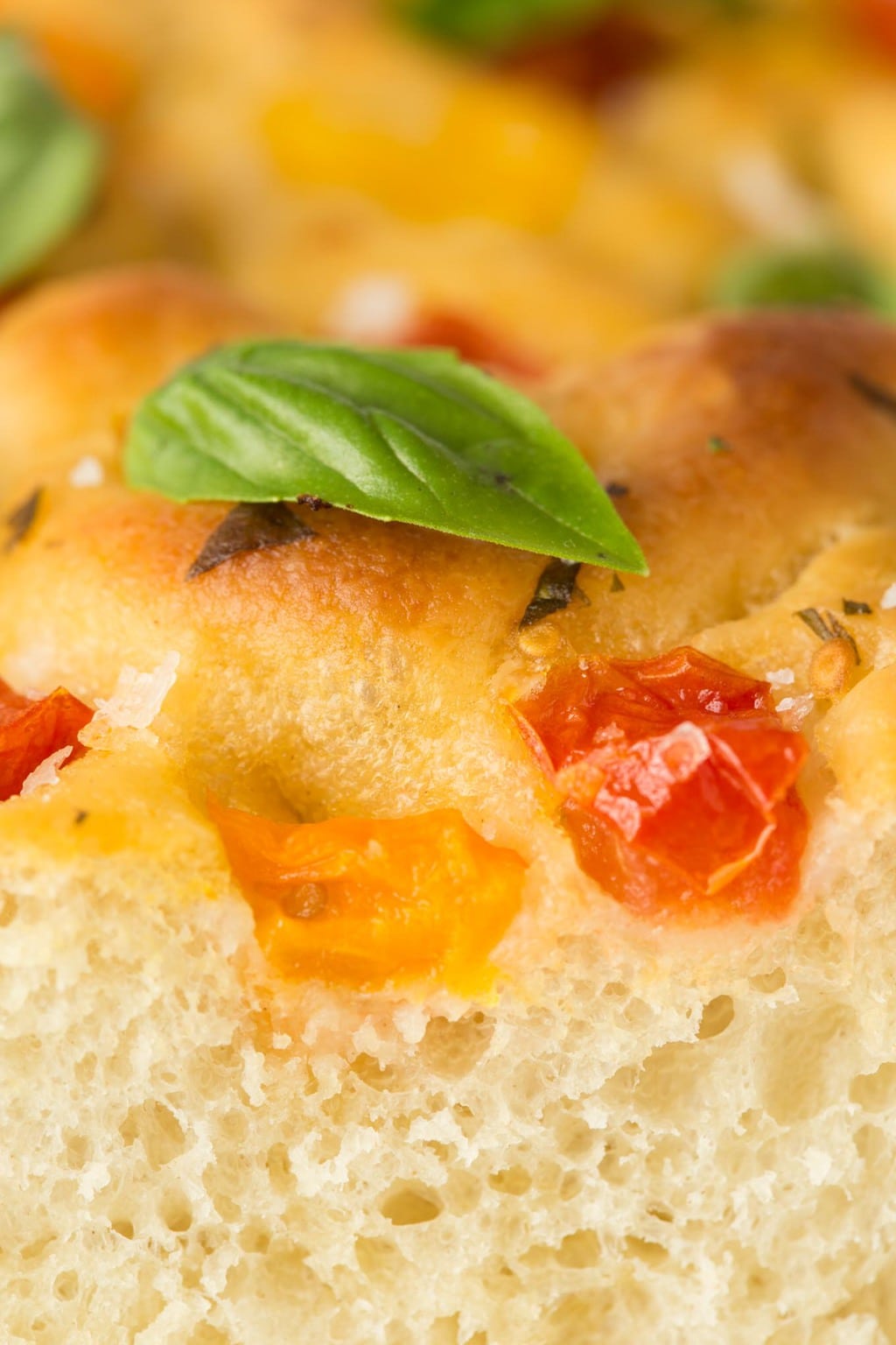 Tomato Basil Parmesan Focaccia - this Italian-inspired bread may just be one of the most delicious things you ever put in your mouth! thecafesucrefarine.com