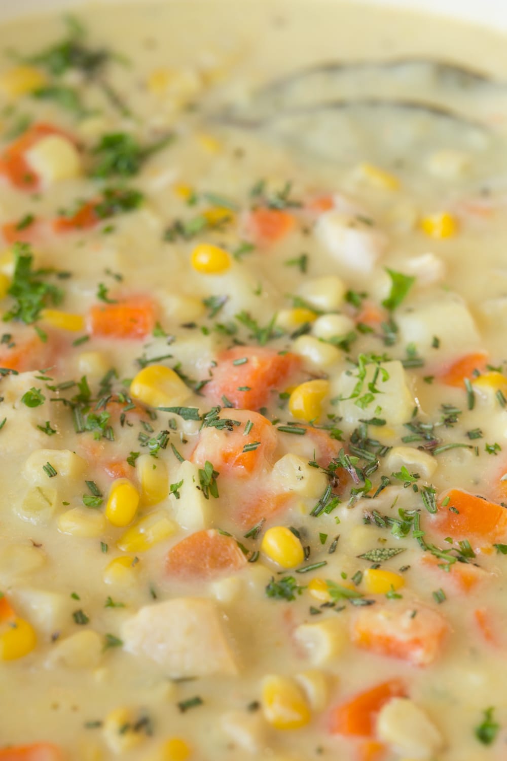 closeup view of turkey corn chowder with carrots and potatoes