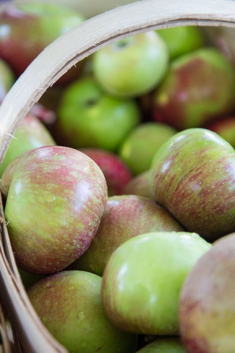 Our Favorite Apple Recipes