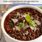 Vertical closeup photo of a bowl of Italian Black Lentil Soup garnished with shaved cheese and basil leaves.
