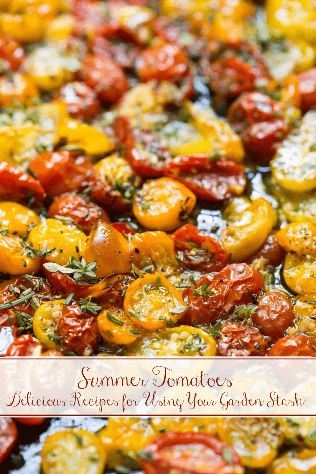Summer Tomato Inspiration Recipes